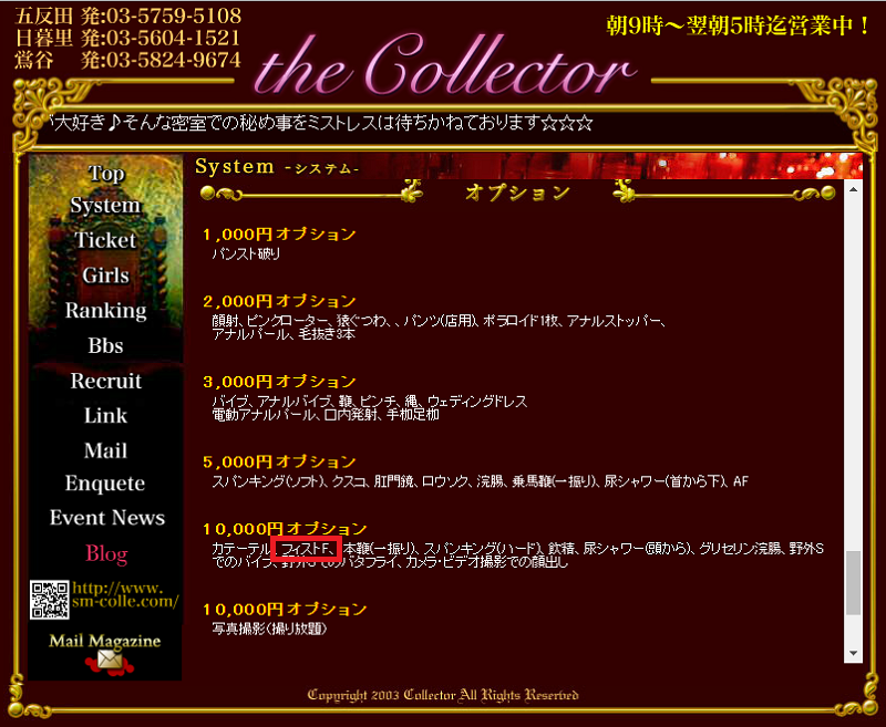 ザ・コレクター オプション